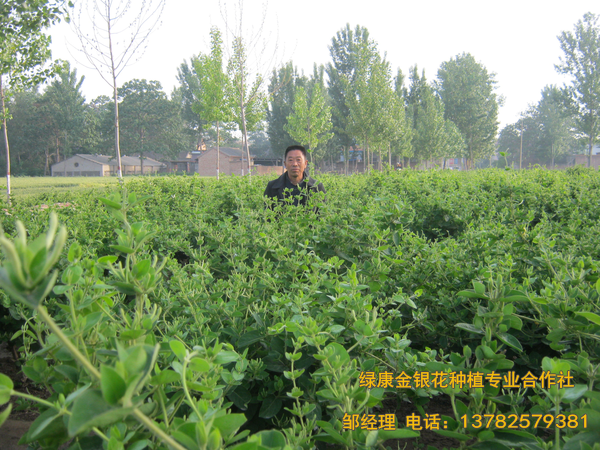 2017年新品 2017年新品