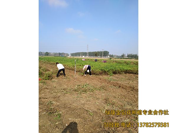 施工現(xiàn)場(chǎng)