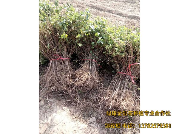 2018年新品 2018年新品