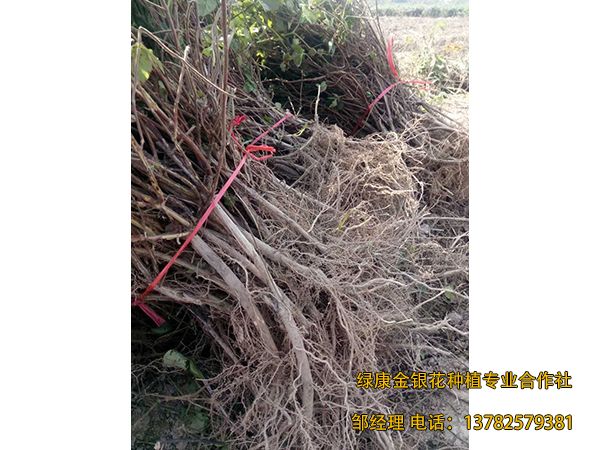 2018年新品 2018年新品