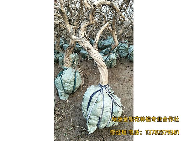 2018年新品 2018年新品