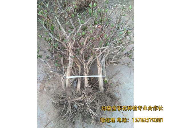 2018年新品 2018年新品