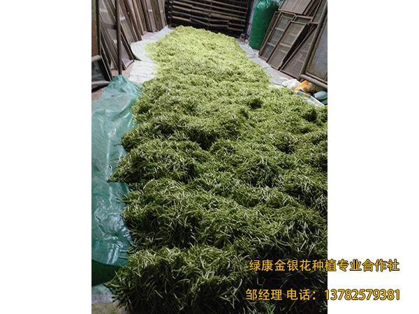 2018年新品 2018年新品