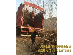 2016年11月份發(fā)貨