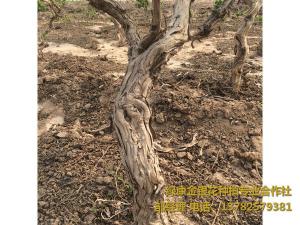 2016年11月份發(fā)貨