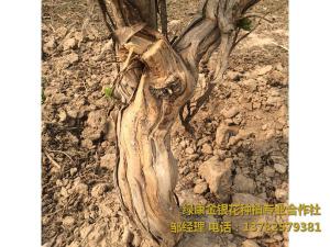 2016年11月份發(fā)貨